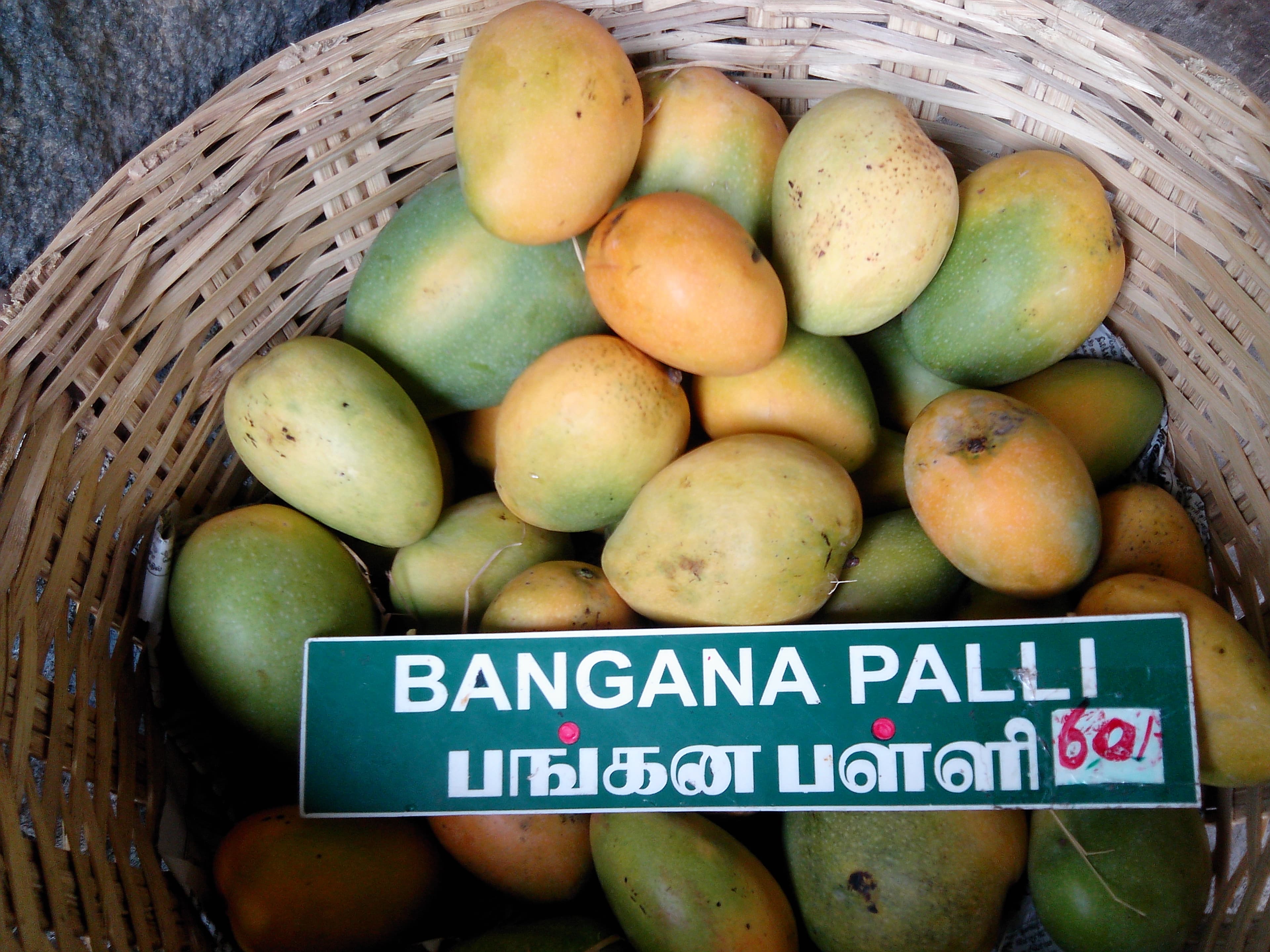 Banganapalle mangoes in a market basket